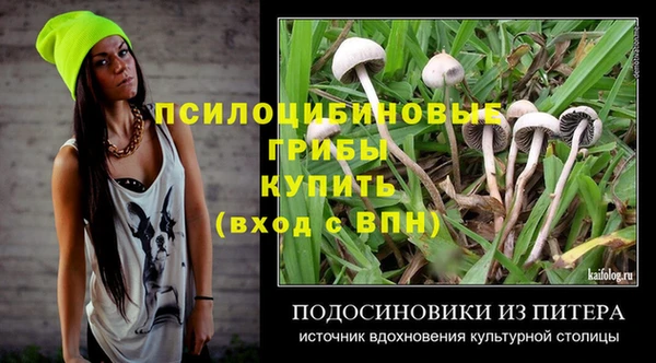 гашик Алексин