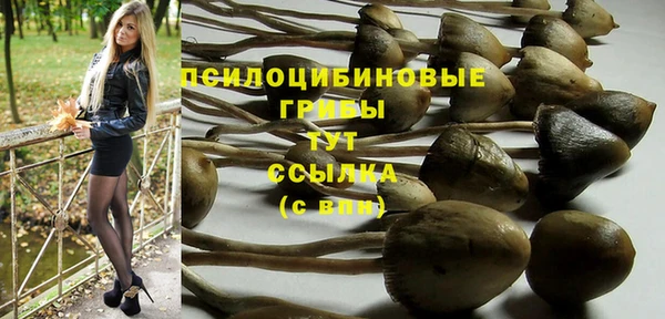 mix Абаза