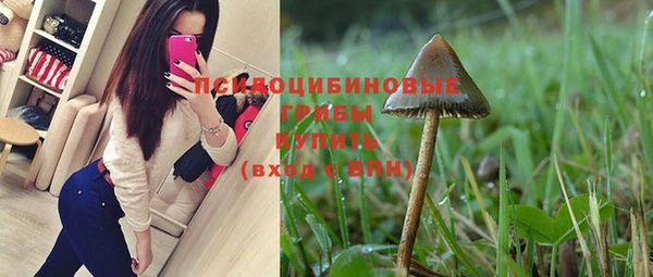mix Абаза